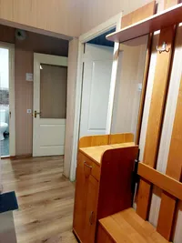 Миниатюра квартиры 20