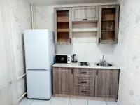 Миниатюра квартиры 12