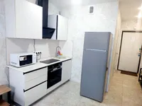 Миниатюра квартиры 3