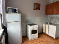 Миниатюра квартиры 9