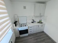 Миниатюра квартиры 11