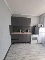 Миниатюра квартиры 3