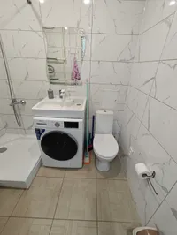 Миниатюра квартиры 19