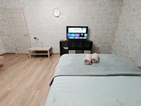 Миниатюра квартиры 5