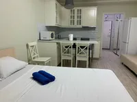 Миниатюра квартиры 10