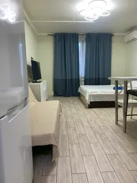 Миниатюра квартиры 12