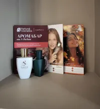 Миниатюра квартиры 22