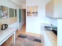 Миниатюра квартиры 13