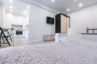 Миниатюра квартиры 12