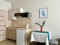 Миниатюра квартиры 9