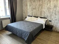 Миниатюра квартиры 1