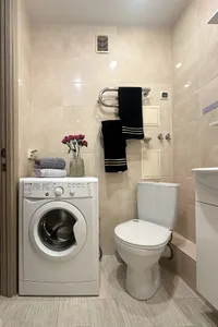 Миниатюра квартиры 10