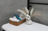 Миниатюра квартиры 24