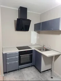 Миниатюра квартиры 3