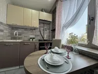 Миниатюра квартиры 29