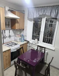 Миниатюра квартиры 9