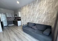 Миниатюра квартиры 9
