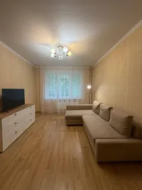 Миниатюра квартиры 3