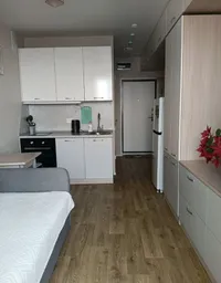 Миниатюра квартиры 2