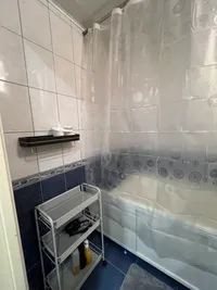 Миниатюра квартиры 10