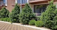 Миниатюра квартиры 29