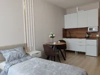Миниатюра квартиры 29