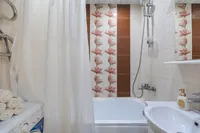 Миниатюра квартиры 30