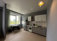 Миниатюра квартиры 11