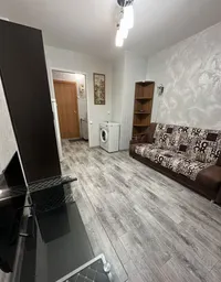 Миниатюра квартиры 2