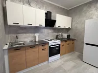Миниатюра квартиры 11