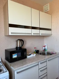 Миниатюра квартиры 12