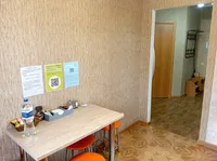 Миниатюра квартиры 12