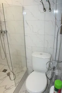 Миниатюра квартиры 12
