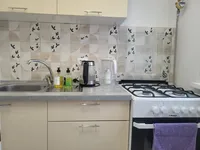 Миниатюра квартиры 9