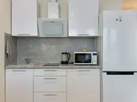 Миниатюра квартиры 11