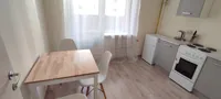 Миниатюра квартиры 4