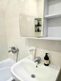 Миниатюра квартиры 16