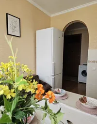 Миниатюра квартиры 19