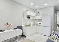 Миниатюра квартиры 13