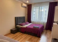 Миниатюра квартиры 8