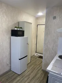 Миниатюра квартиры 2