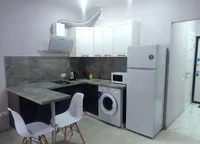 Миниатюра квартиры 4
