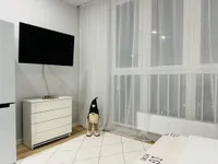 Миниатюра квартиры 7