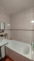 Миниатюра квартиры 12