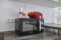 Миниатюра квартиры 21