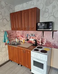 Миниатюра квартиры 3