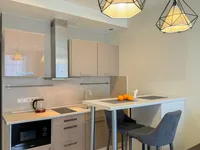 Миниатюра квартиры 20