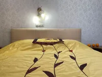 Миниатюра квартиры 18