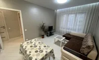 Миниатюра квартиры 1