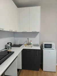 Миниатюра квартиры 2